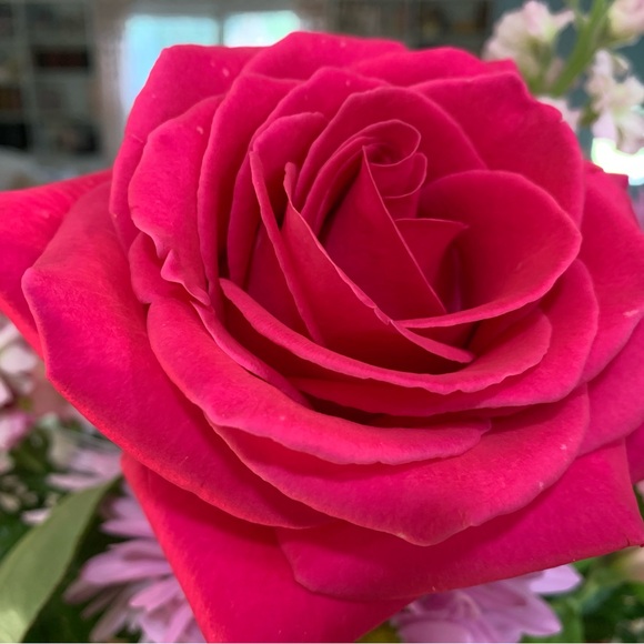 Jack Rogers Ronnie Boots Size 8 Brand New - Picture 6 of 12